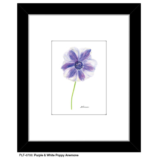 Purple & White Poppy Anemone, Print (#8708D), Print Matted, www.printedcanvas.com