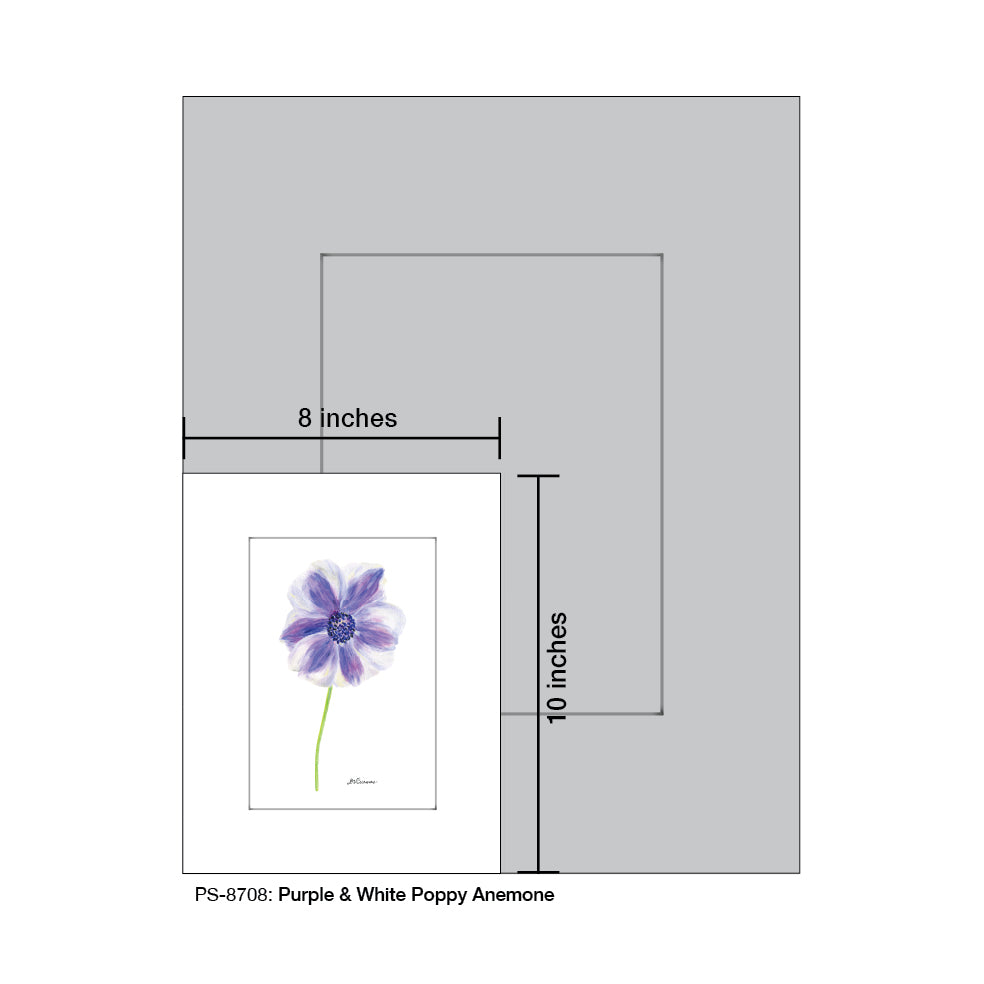 Purple & White Poppy Anemone, Print (#8708D), Print Matted, www.printedcanvas.com