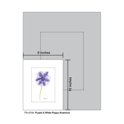 Purple & White Poppy Anemone, Print (#8708D), Print Matted, www.printedcanvas.com