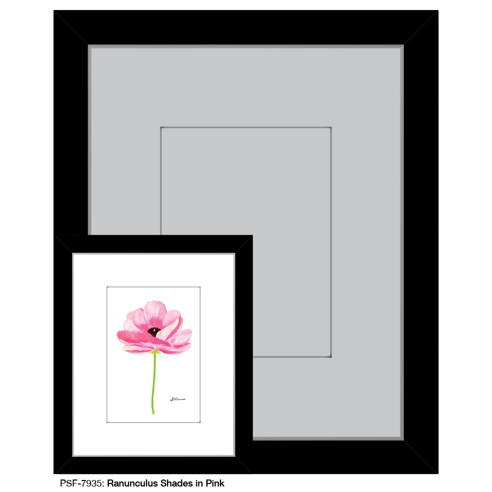Ranunculus Shades in Pink, Print (#7935) - Printed Canvas
