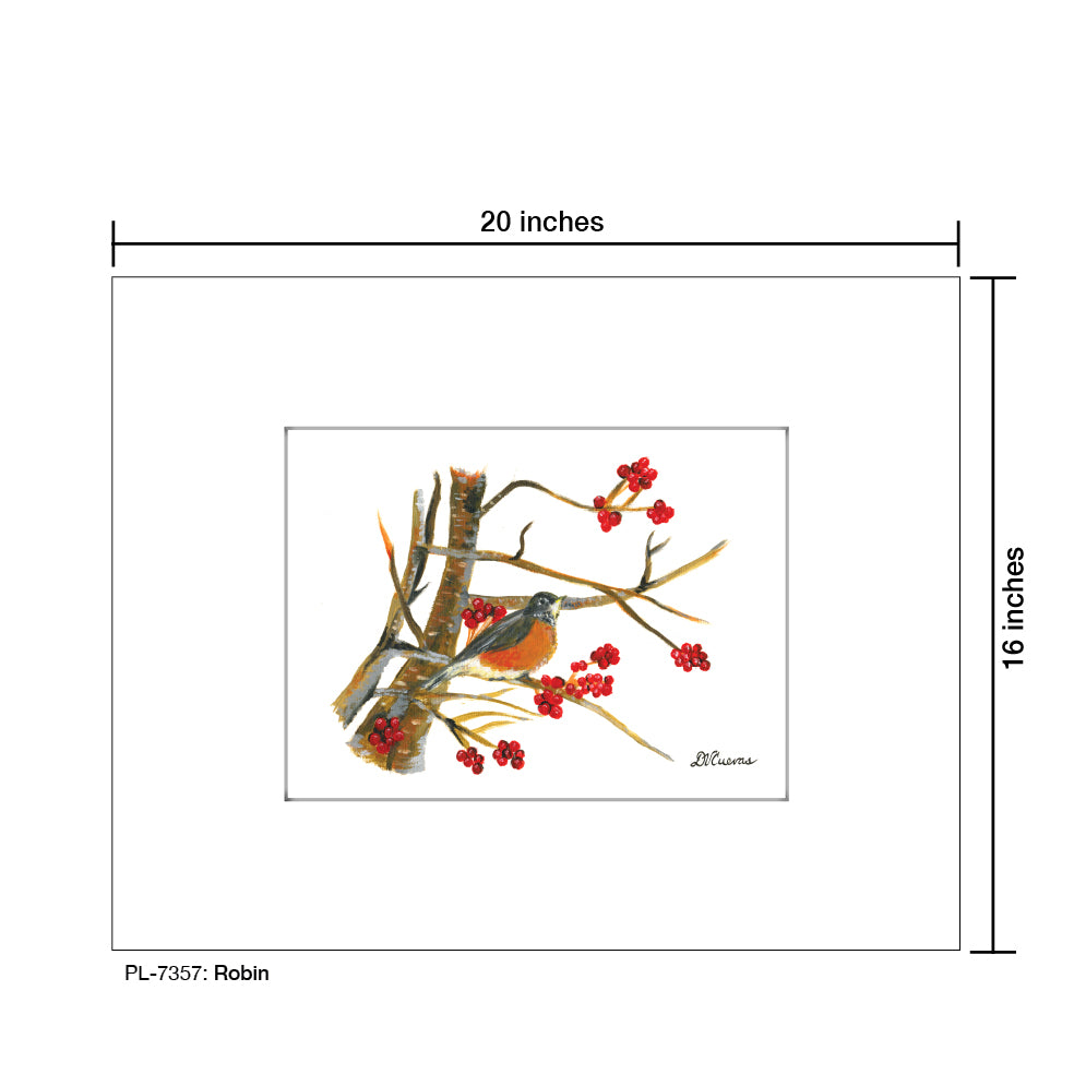 Robin, Print (#7357) - Printed Canvas