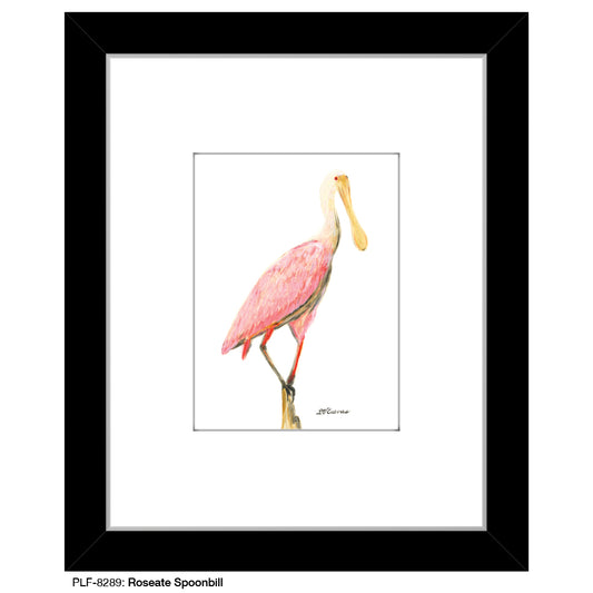 Roseate Spoonbill, Print (#8289) - Printed Canvas