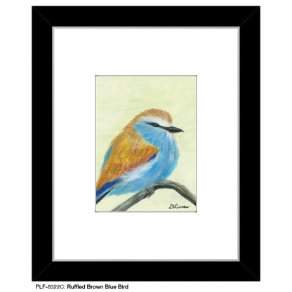 Ruffled Brown Blue Bird, Print (#8322C), Print Matted, www.printedcanvas.com
