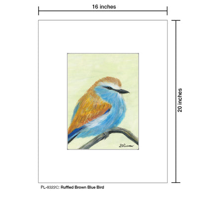 Ruffled Brown Blue Bird, Print (#8322C), Printe Matted, www.printedcanvas.com