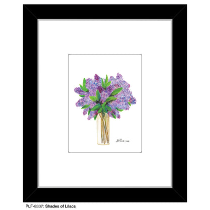 Shades of Lilacs, Print (#8337C), Print Matted, www.printedcanvas.com