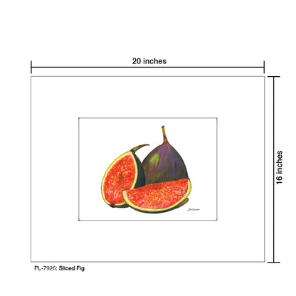 Sliced Fig, Print (#7926) - Printed Canvas