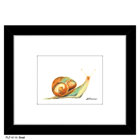 Snail, Print (#8116B), Print Matted, www.printedcanvas.com