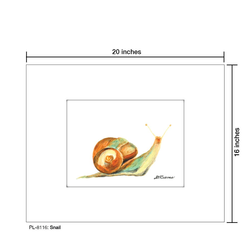 Snail, Print (#8116B), Printe Matted, www.printedcanvas.com