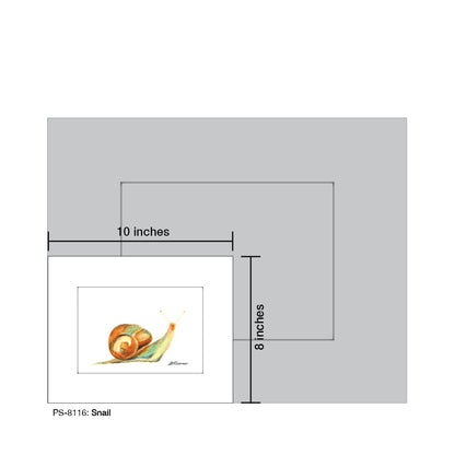 Snail, Print (#8116B), Print Matted, www.printedcanvas.com