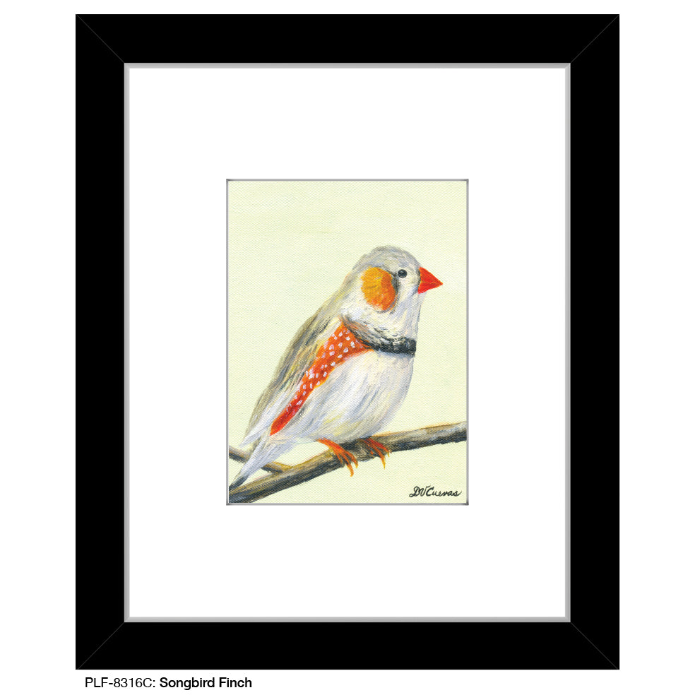 Songbird Finch, Print (#8316C), Print Matted, www.printedcanvas.com