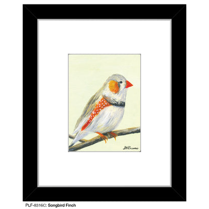 Songbird Finch, Print (#8316C), Print Matted, www.printedcanvas.com