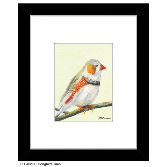 Songbird Finch, Print (#8316C), Print Matted, www.printedcanvas.com