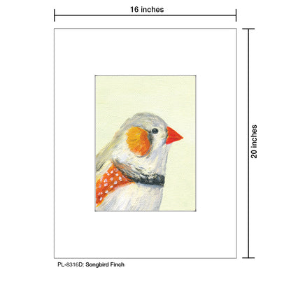 Songbird Finch, Print (#8316D), Printe Matted, www.printedcanvas.com
