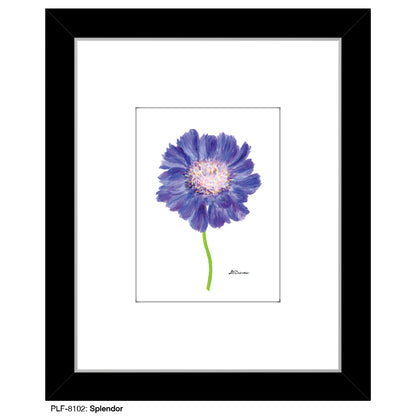 Splendor, Print (#8102B), Print Matted, www.printedcanvas.com