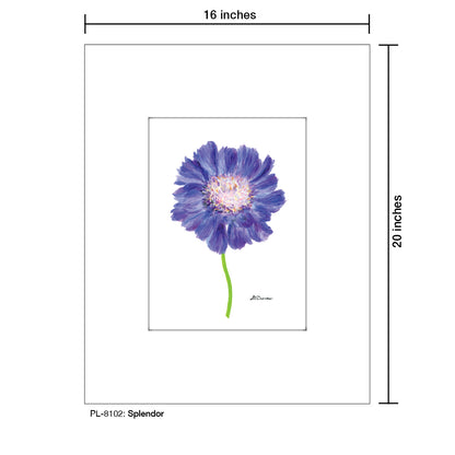 Splendor, Print (#8102B), Printe Matted, www.printedcanvas.com