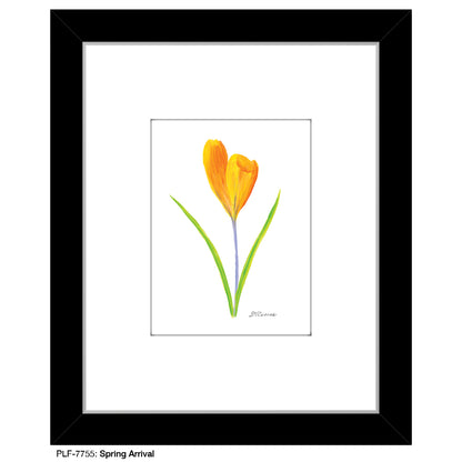 Spring Arrival, Print (#7755) - Printed Canvas