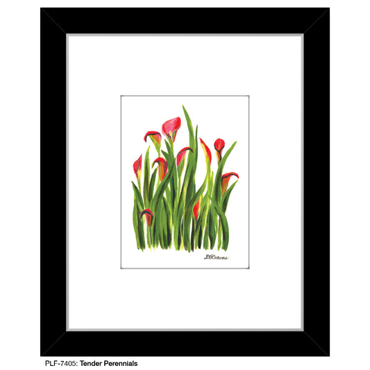 Tender Perennials, Print (#7405) - Printed Canvas