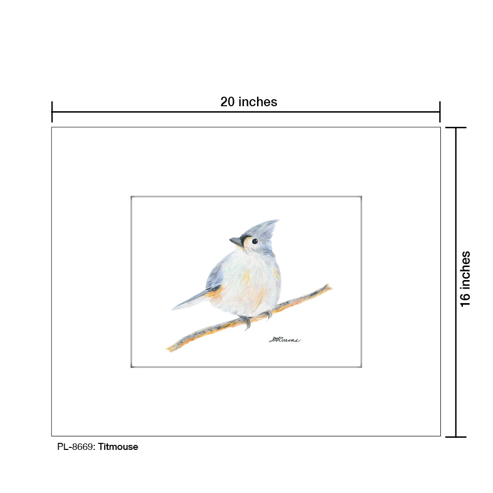 Titmouse, Print (#8669A), Printe Matted, www.printedcanvas.com