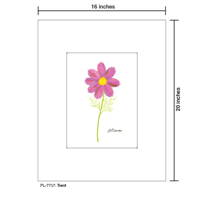 Trent, Print (#7757) - Printed Canvas