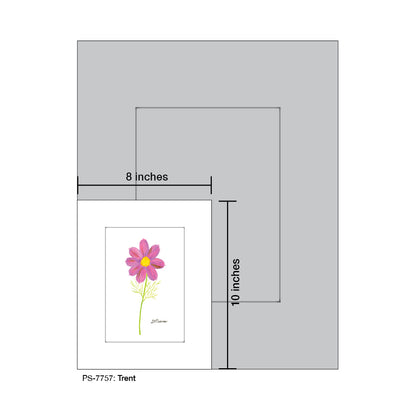 Trent, Print (#7757) - Printed Canvas