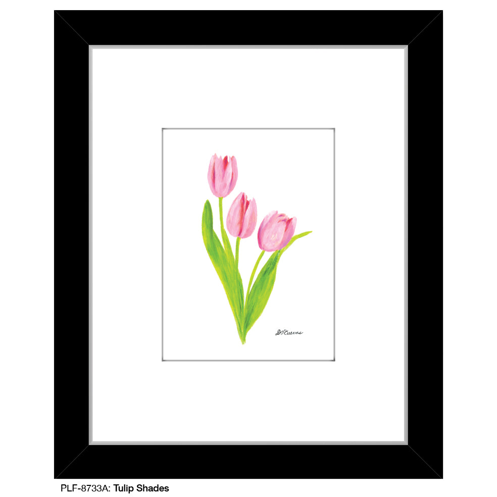 Tulip Shades, Print (#8733A), Print Matted, www.printedcanvas.com