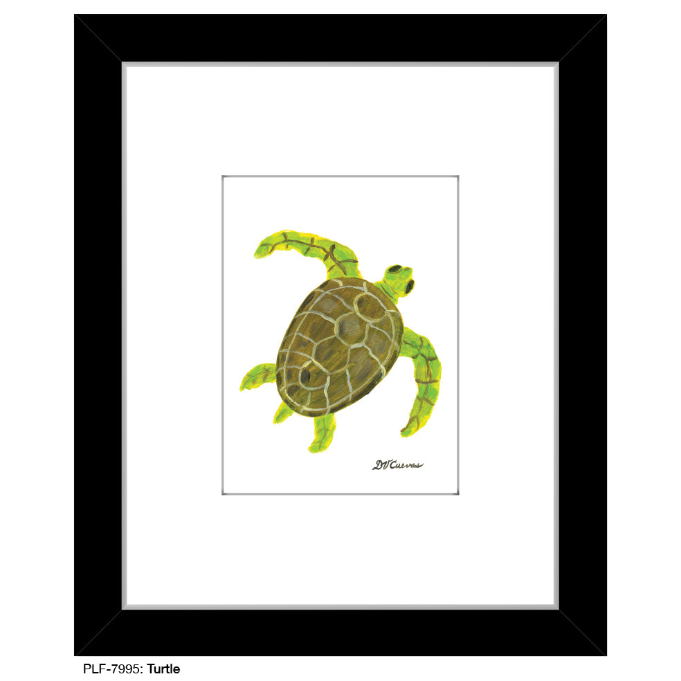 Turtle, Print (#7995) - Printed Canvas