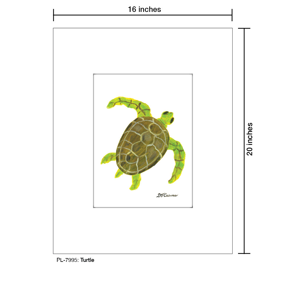 Turtle, Print (#7995) - Printed Canvas