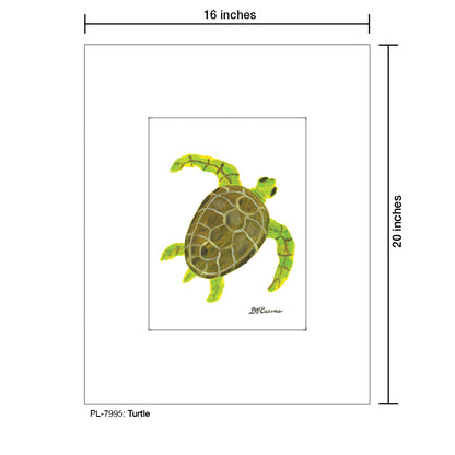 Turtle, Print (#7995) - Printed Canvas