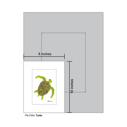 Turtle, Print (#7995) - Printed Canvas