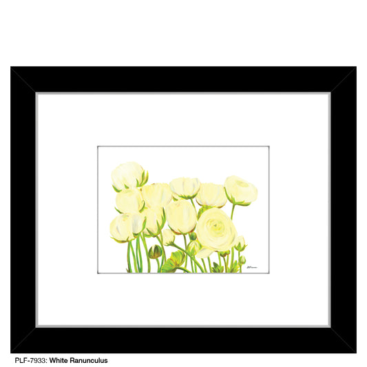 White Ranunculus, Print (#7933) - Printed Canvas