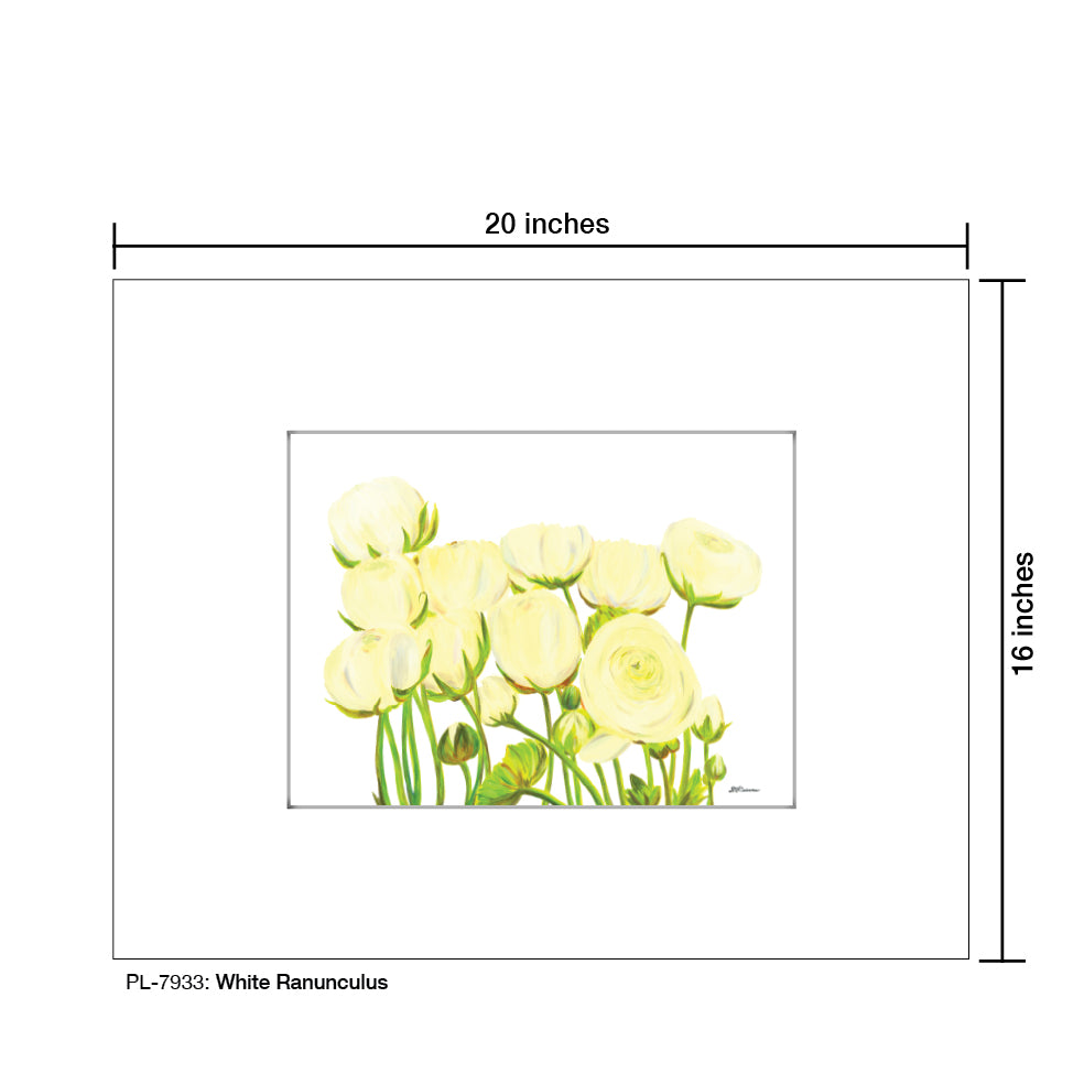 White Ranunculus, Print (#7933) - Printed Canvas