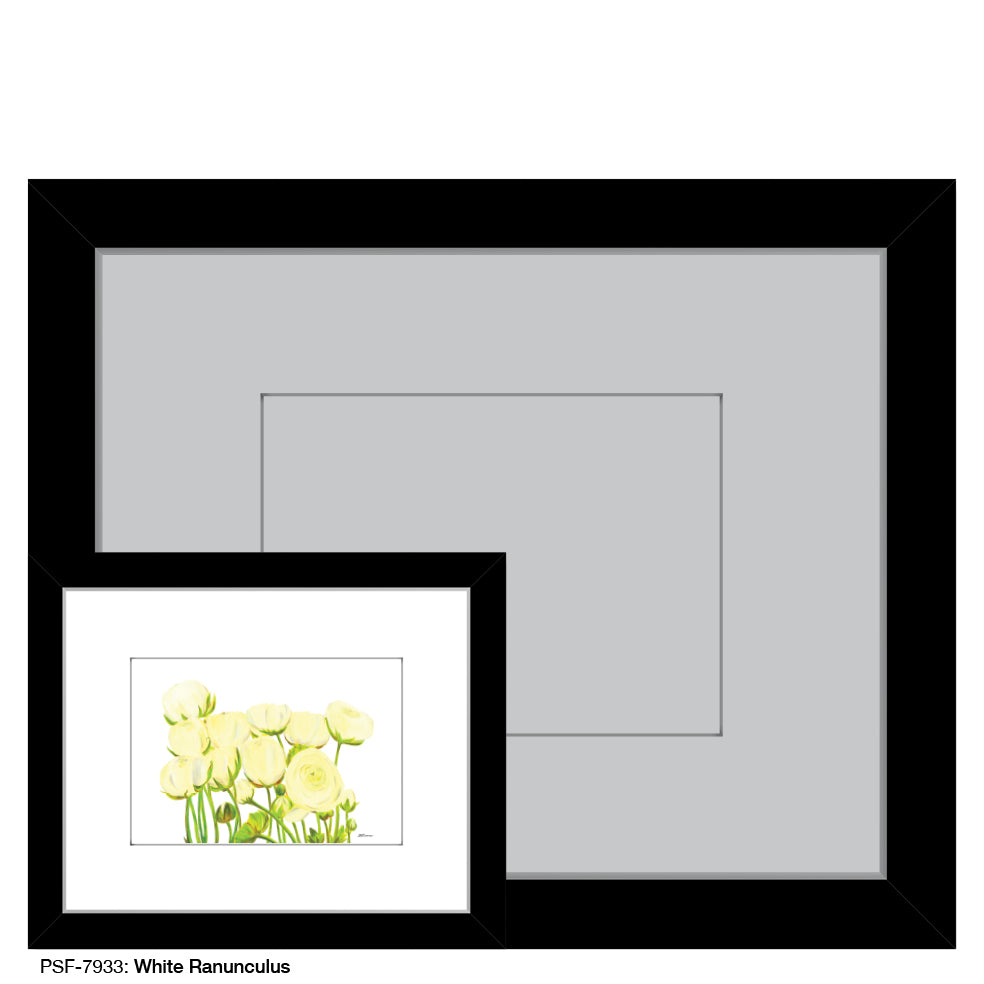 White Ranunculus, Print (#7933) - Printed Canvas