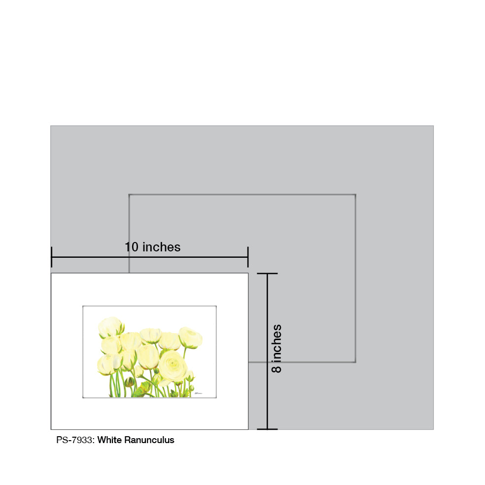 White Ranunculus, Print (#7933) - Printed Canvas