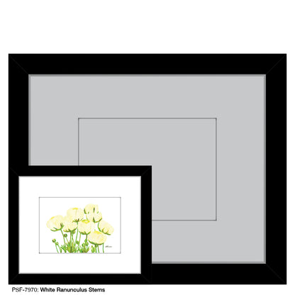 White Ranunculus Stems, Print (#7970) - Printed Canvas