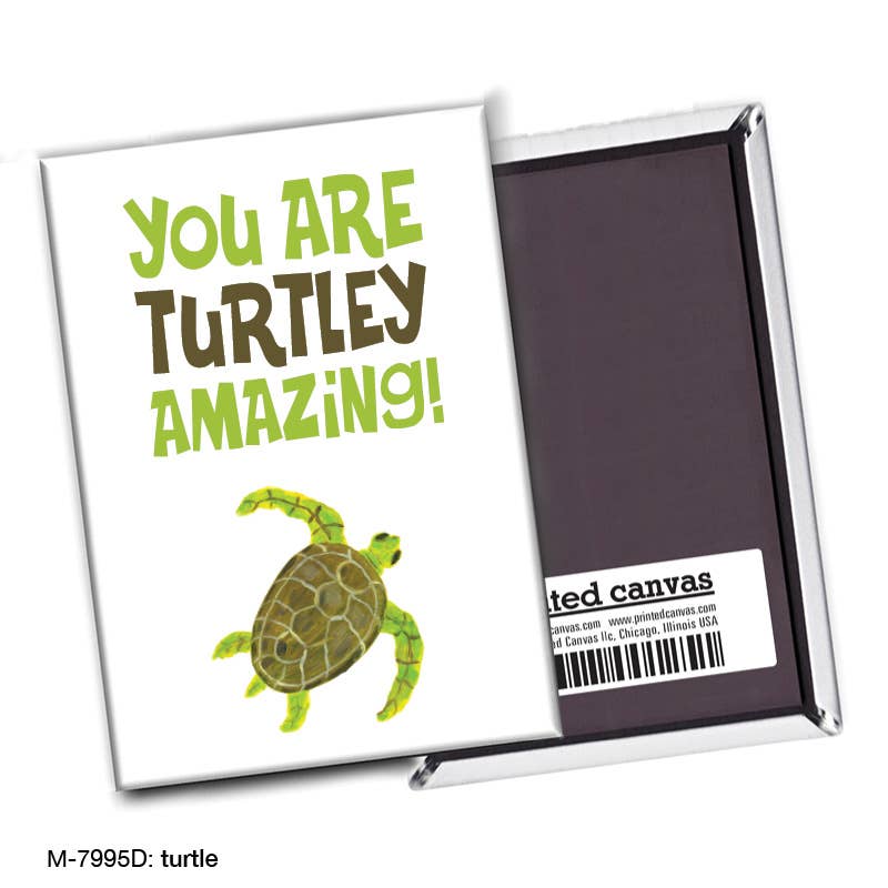 Turtle, Magnet (M-7995D), front, printedcanvas.com