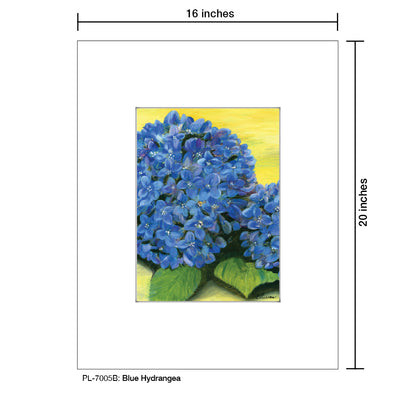 Blue Hydrangea, Print (#7005B)
