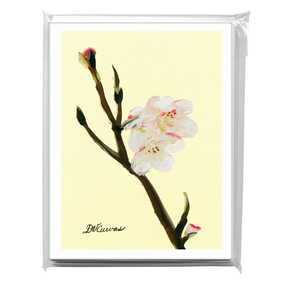 Cherry Blossoms, Greeting Card (7097)