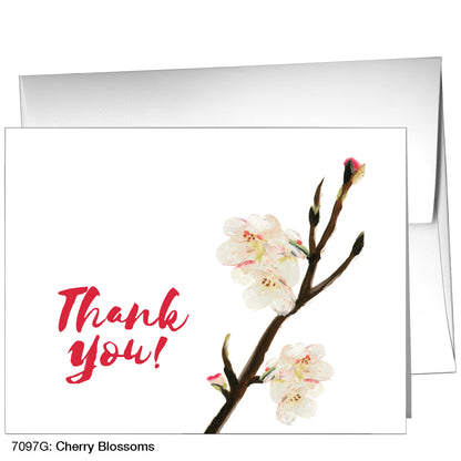 Cherry Blossoms, Greeting Card (7097G)
