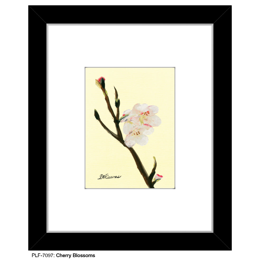 Cherry Blossoms, Print (#7097)