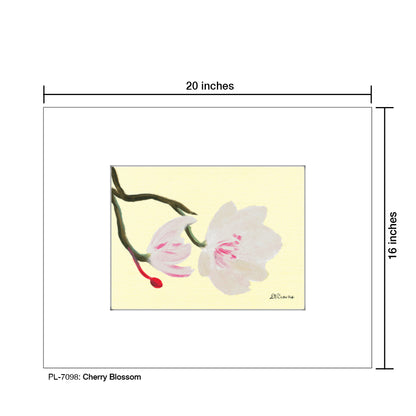 Cherry Blossom, Print (#7098)