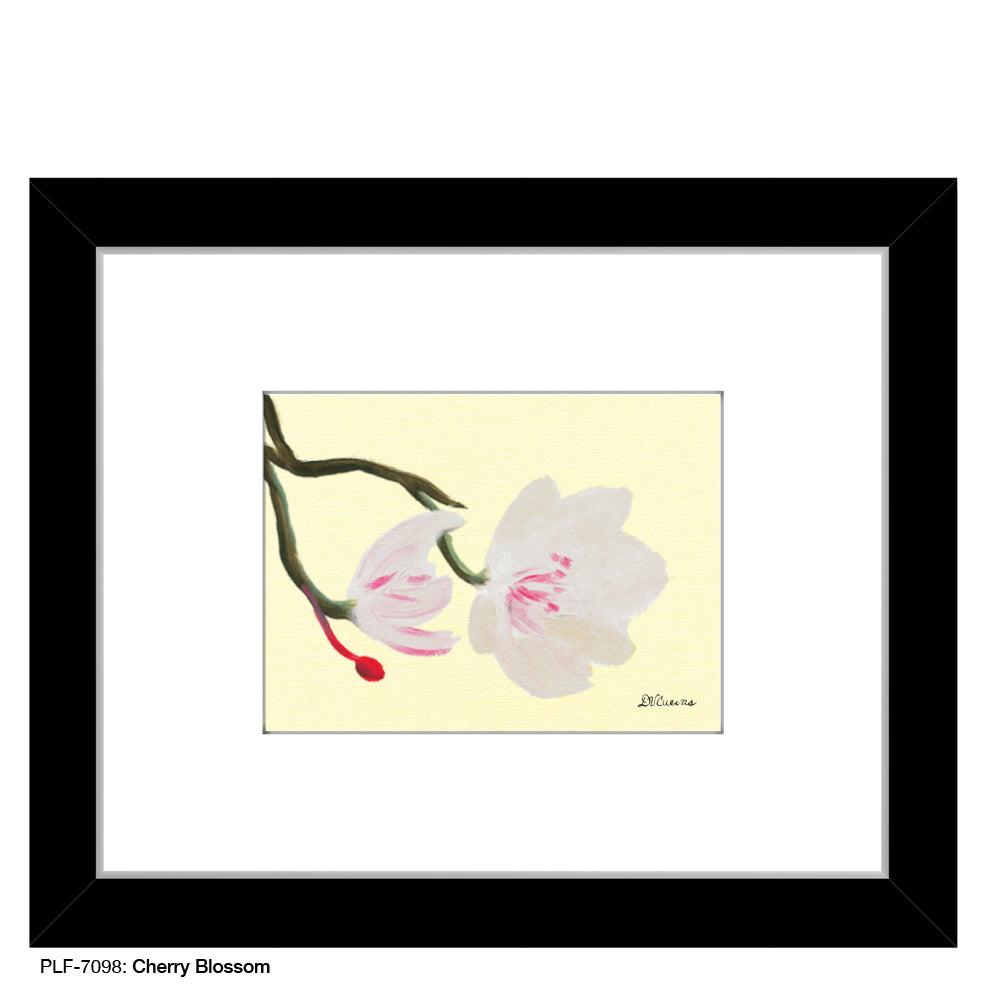 Cherry Blossom, Print (#7098)