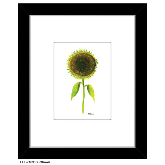 Sunflower, Print (#7109)