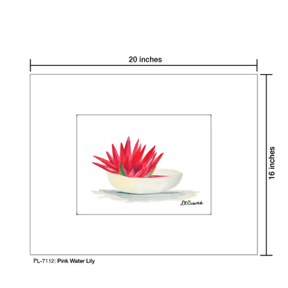 Pink Water Lily, Print (#7112)