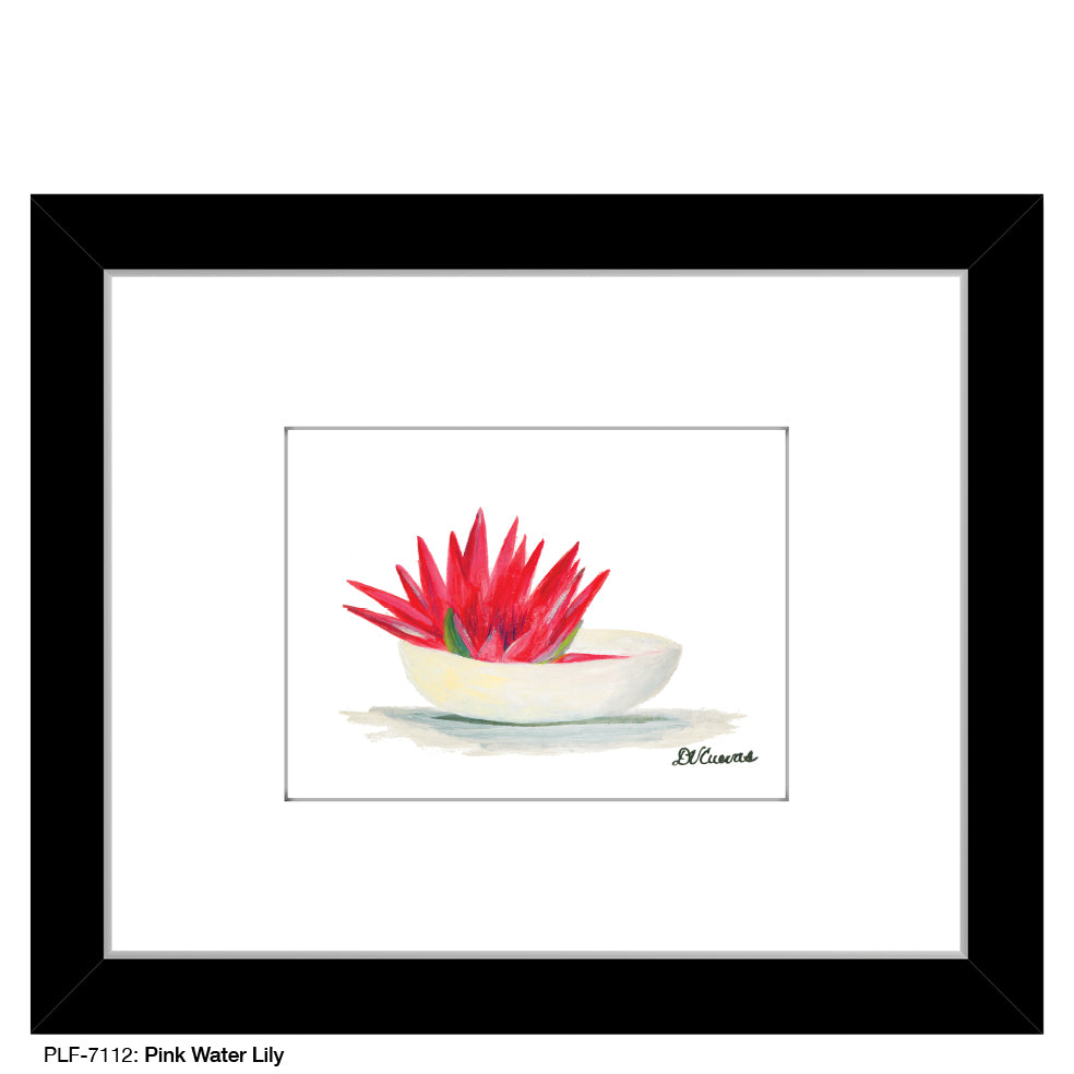 Pink Water Lily, Print (#7112)