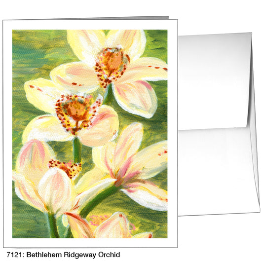 Bethlehem Ridgeway Orchid, Greeting Card (7121)