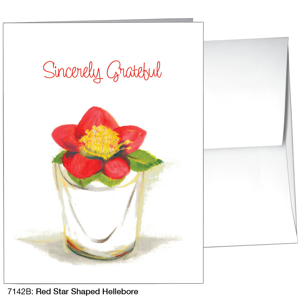 Red Star Shaped Hellebore, Greeting Card (7142B)