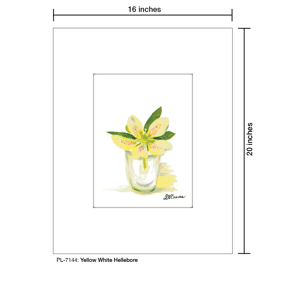 Yellow White Hellebore, Print (#7144)