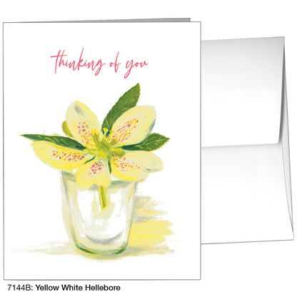 Yellow White Hellebore, Greeting Card (7144B)