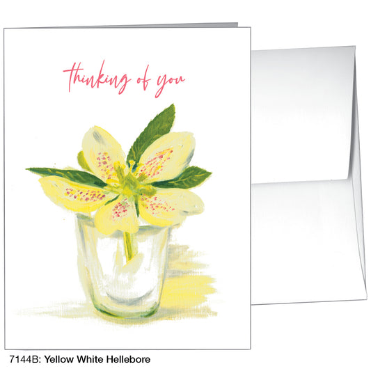 Yellow White Hellebore, Greeting Card (7144B)