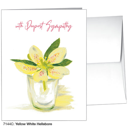 Yellow White Hellebore, Greeting Card (7144C)